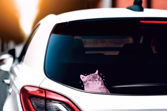 Purple Scaredy Cat decal installed on the rear window of a white hatchback.