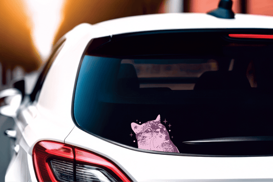 Purple Scaredy Cat Decal- HD Livery Lab by HD Designs