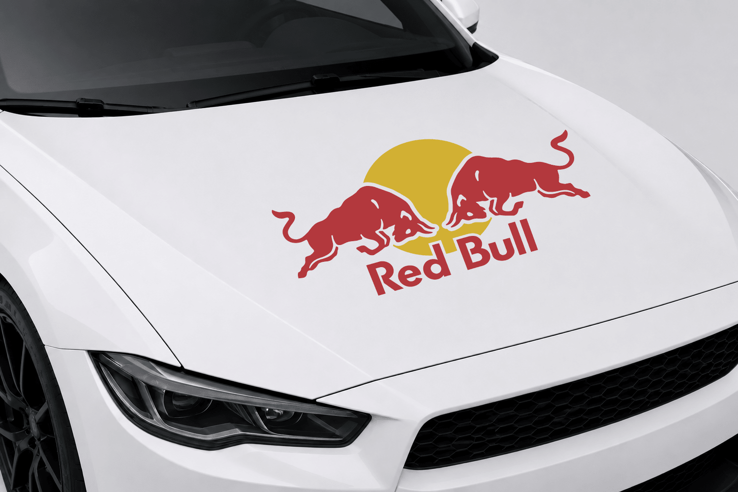 Livery Kits - HD Livery Lab by HD Designs