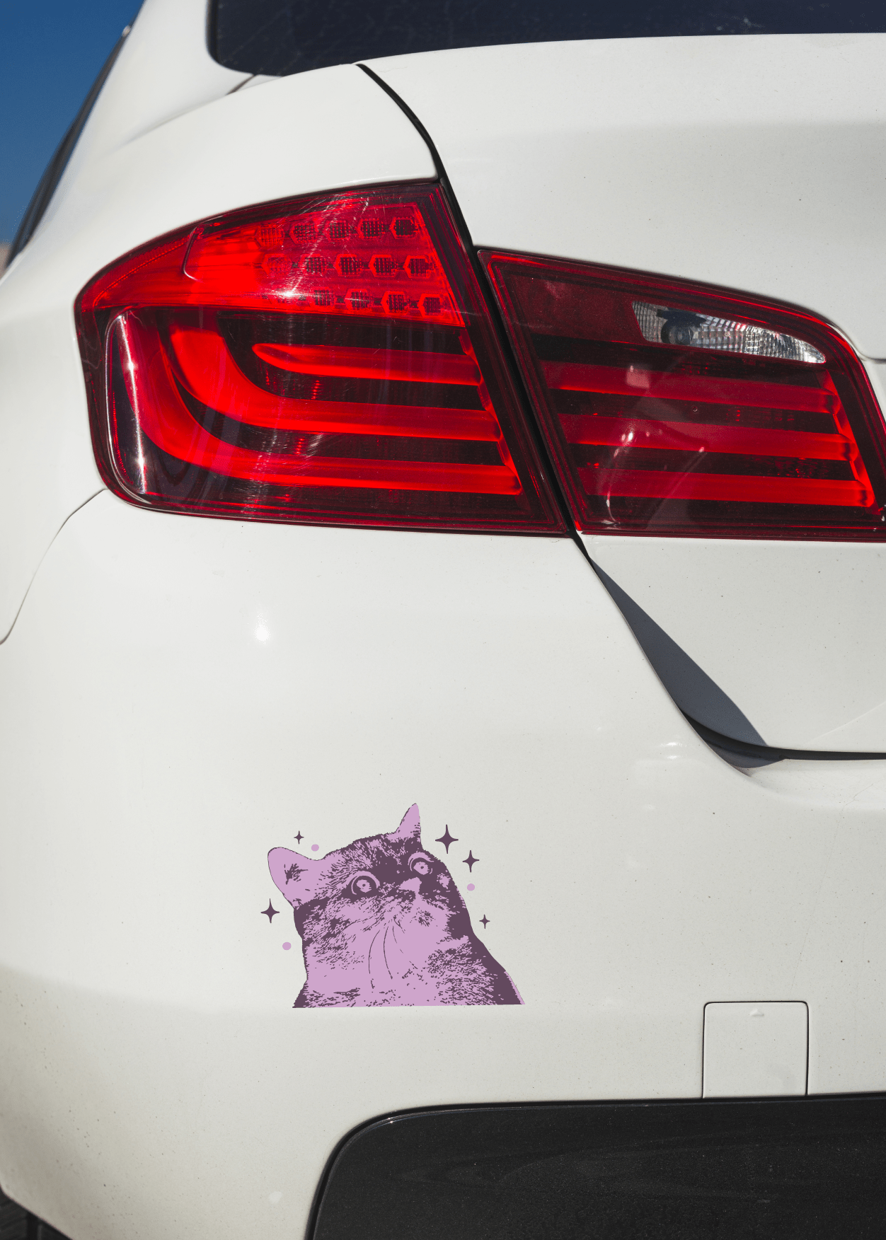 Purple Scaredy Cat Decal- HD Livery Lab by HD Designs