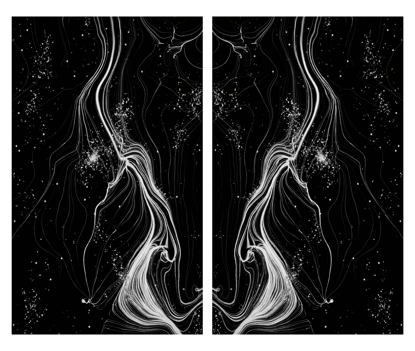 Phantom Flow