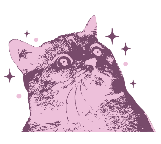 Purple Scaredy Cat automotive decal featuring a startled cat illustration.