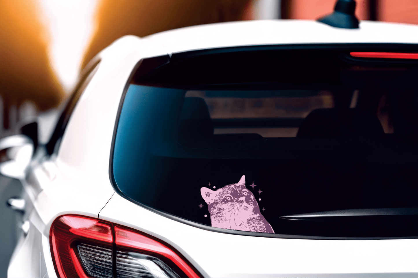 Purple Scaredy Cat Decal- HD Livery Lab by HD Designs